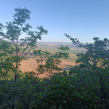 Ferienhaus Waldperle Harzblick Wernrode Экстерьер фото