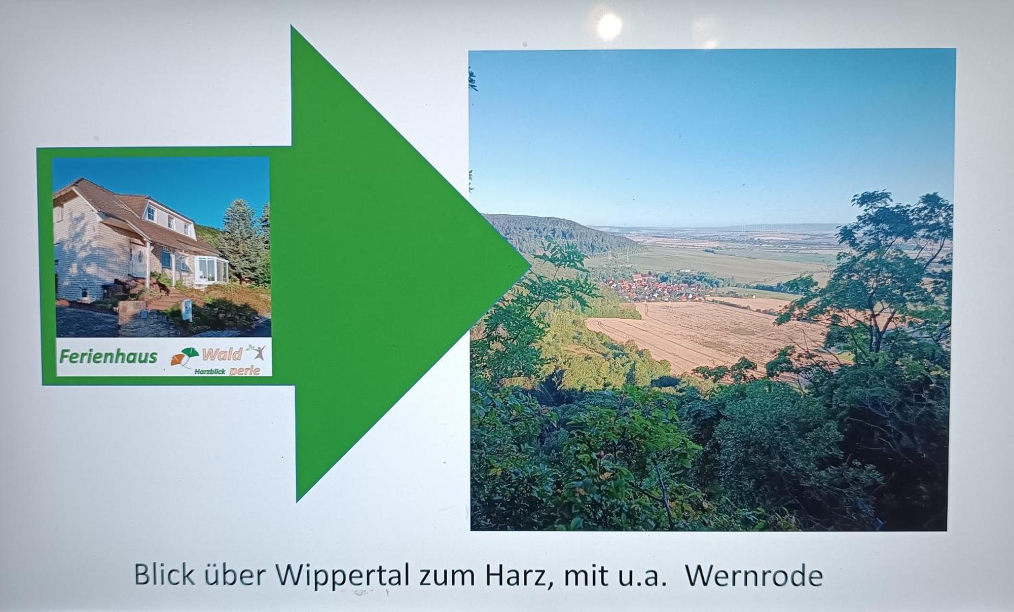 Ferienhaus Waldperle Harzblick Wernrode Экстерьер фото
