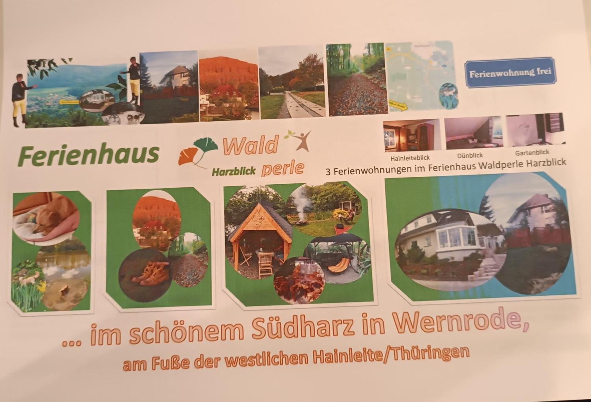 Ferienhaus Waldperle Harzblick Wernrode Экстерьер фото